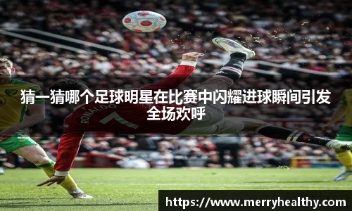 天博官网入口首页