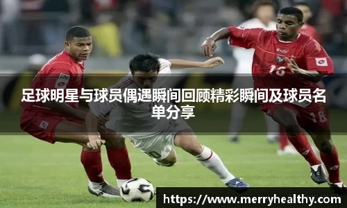 天博体育官方平台入口